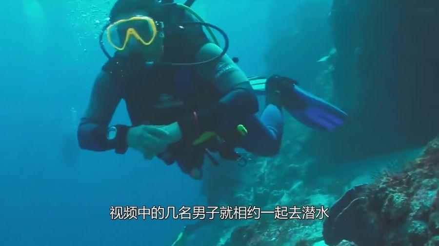 初中数学|【一元一次方程】13种应用题型知识汇总（收藏）